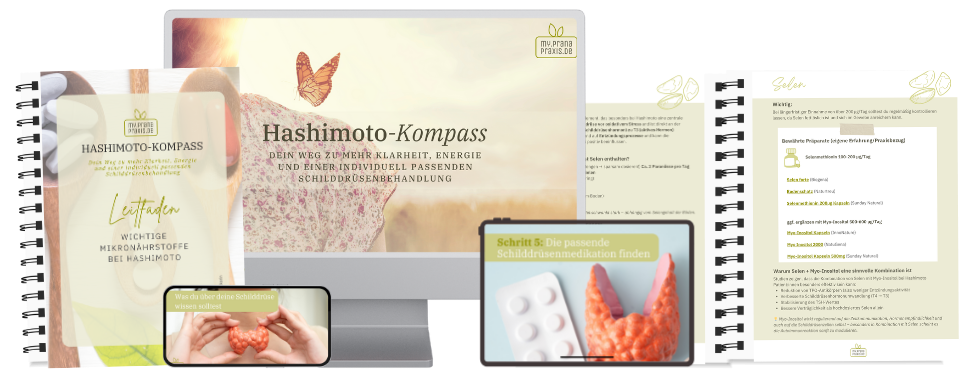 Hashimoto-Kompass_Mockup