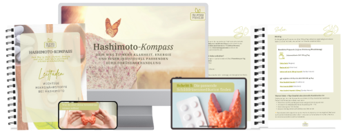 Hashimoto-Kompass_Mockup